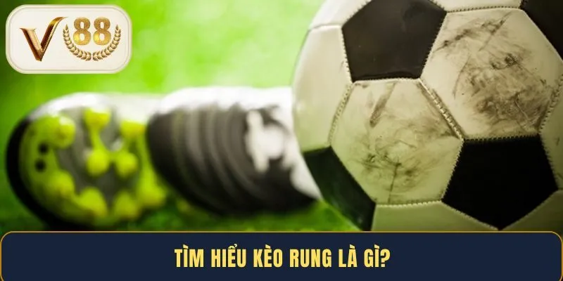 tim-hieu-keo-rung-la-gi